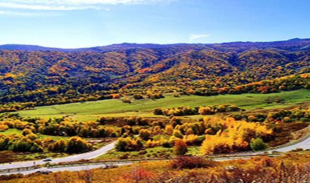 喀納斯+禾木+五彩灘+那拉提+巴音布魯克+賽里木湖+霍爾果斯口岸+薰衣草園 環游北疆八日游